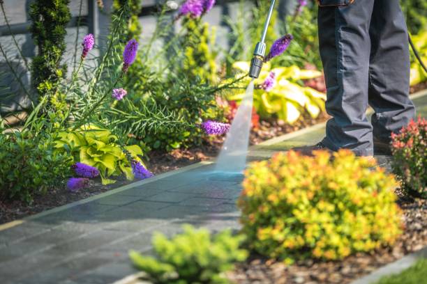 Best Gas Station Cleaning  in Elk Grove, CA