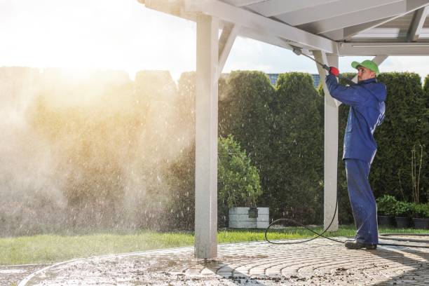 Pre-Holiday Cleaning in Elk Grove, CA