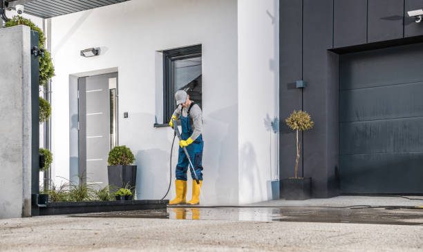 Best Gutter Cleaning  in Elk Grove, CA